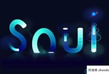 Soul服务器有太多请求。有什么方法可以提高服务器的稳定性?(灵魂服务器崩溃)_找独服