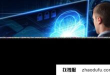 美国VPS与国内VPS的差异概述_找独服