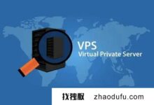 美国有哪些便宜的VP？(有哪些便宜的美国VP)_找独服