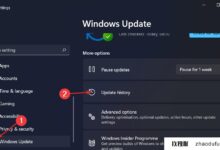 Win11系统更新出错怎么处理？Win11系统更新错误的解决方案。_找独服