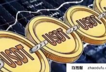 电子商务必备:购买云服务器支持USDT支付!(支付宝买usdt平台)_找独服