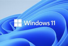Win11预览版和正式版有什么区别？预览版可以升级到正式版吗？(win11预览版会成为正式版吗？)_找独服