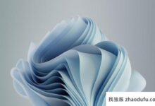 Win11纯版下载_最流畅的Win11纯版下载(Win11正式版下载完整简体中文版)_找独服