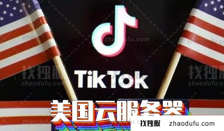 TikTok美国云服务器vps