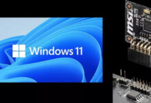 如何在Win11系统中查询tpm版本？Win11系统查询tpm版本方法_找独服