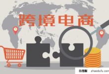 租用海外服务器进行节点托管需要注意哪些问题?(服务器托管和租赁)_找独服