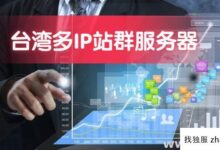 台湾省多IP服务器哪家好?(如何使用站群服务器的多ip)_找独服