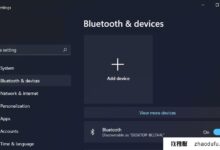 Win11无法识别Switch Pro怎么办?win11识别Switch Pro控制器。_找独服