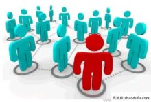 为什么海外多ip服务器群这么受欢迎？(美国多ip场服务器)_找独服