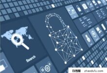 继高安全性服务器之后，香港高安全性CDN是否是网络安全的新机遇？(高防cdn是不是超级神器？)_找独服