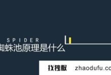 搭建蜘蛛池软件合法吗？又是智商税？_找独服