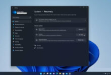 如何将Win11正式版回归到Win10 Win11？Win 11正式版要回到Win10教程。_找独服