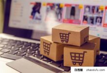 亚马逊等电商平台如何利用美国ip补单?(亚马逊跨境电商补货平台)_找独服