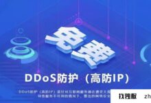 有哪些无战绩的高防服务器和高防IP?可以加多少防御IP?_找独服