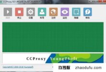 海外站群服务器如何设置代理?(美国多ip站组服务器构建代理)_找独服