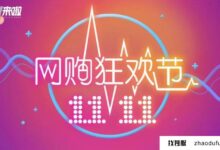 2023年双11和香港哪个云服务器好？_找独服