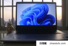 Windows S11设置推荐(如何更好的设置Windows S11)(win 11系统设置)_找独服