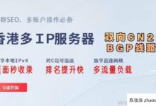 香港多IP服务器选择双向CN2带宽有什么优势?(cn2网络带宽)_找独服