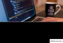 php服务器是什么意思？php服务器有哪些？(php的web服务器有哪些)_找独服