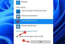 Win11如何改变默认打开模式?Win11如何更改默认打开模式(如何在windows10中更改默认打开模式)_找独服