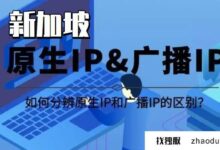 新加坡的原生(本地)ip服务器有什么优势?(新加坡是什么服务器)_找独服