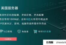 美国宽带服务器线路如何选择?(如何选择美国大带宽服务器的线路设置)_找独服
