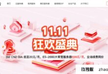 华纳云双11大促：高带宽香港服务器低至699元每月，同续费价格，E5-2660 CPU/500G SSD/16G内存/@无限流量_找独服