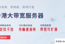 找独服高带宽服务器租赁(高速服务器租赁)_找独服