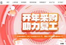 华纳云:海外CN2云服务器20元/月起,50M宽带服务器限时达888元/月,DDoS高安全服务器打4折。_找独服