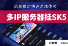 2023年哪些海外服务器可以给SK5加IP?_找独服