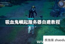 《吸血鬼日记》服务器连接失败的两种解决方案_找独服