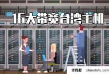 1000M台湾省服务器大带宽多少钱?(2000m宽带多少钱)_找独服