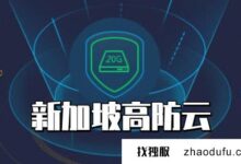 新加坡云服务器有多少G防?(新加坡的idc服务提供商)_找独服