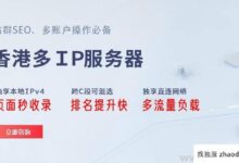 海外多ip场服务器租赁(美国场服务器租赁)_找独服