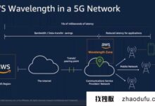 618,AWS新加坡云服务器评测最有“量”的是什么?_找独服