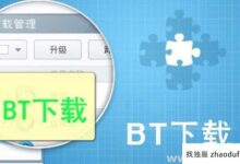 建一个服务器BT下载站让人又爱又恨！(BT下载服务)_找独服