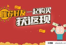 淘金黑五:返现推荐的服务器有哪些?_找独服