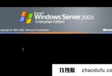 用于windows2003系统的新加坡云服务器_找独服