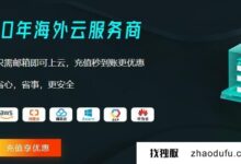 为什么越来越多的国内用户使用AWS云服务器?_找独服