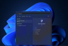 如何关闭Win11VBS安全功能?关闭Win11VBS安全功能的方法_找独服