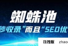 用多ip站点服务器搭建一个蜘蛛池要多少钱?_找独服