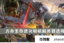 方舟方舟服务器服务推荐什么系统和配置?(方舟手游服务器选择)_找独服