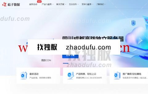 1717427051 95vps