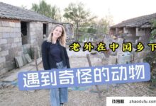 国外10W+的短视频项目如何在3天内租到服务器?_找独服