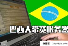 巴西的大带宽服务器有什么优势？多少钱？(哪个服务器带宽便宜)_找独服