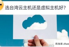 亚太服务器选择台湾省云主机还是虚拟主机合适?(云服务器云虚拟主机区别)_找独服