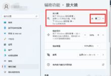 Win11怎么打开放大镜？Win11放大镜开启技巧(win10开启放大镜)_找独服