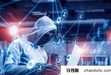 荷兰服务器用于网络攻防吗?(荷兰独立服务器)_找独服