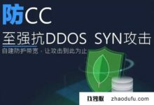 海外站群服务器有CN2直接联防吗？_找独服