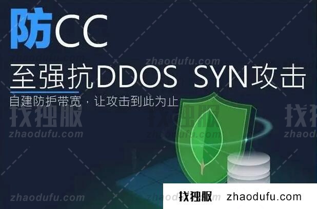 CN2海外站群服务器带防御